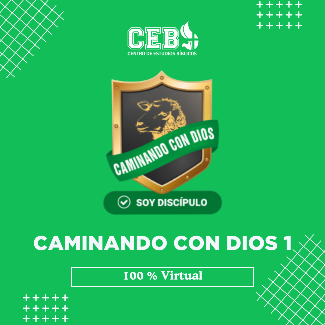 CCD 1 - 100% Virtual