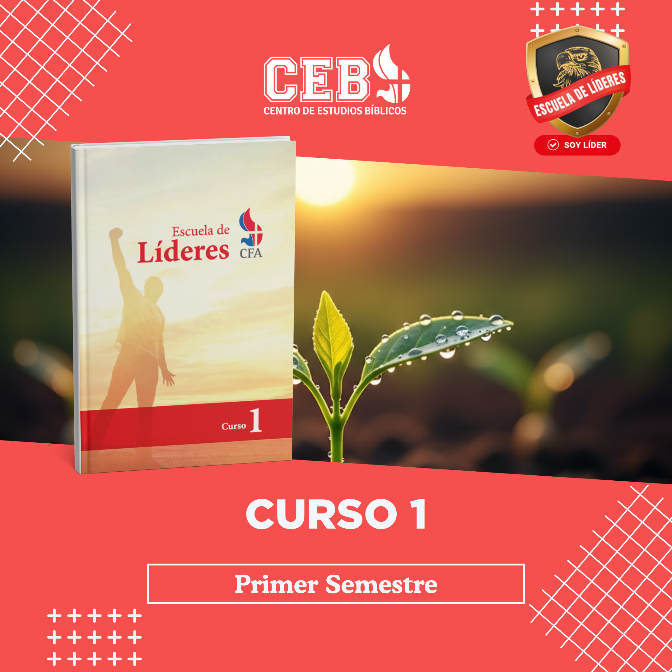 Primer Curso - Jueves 19:00