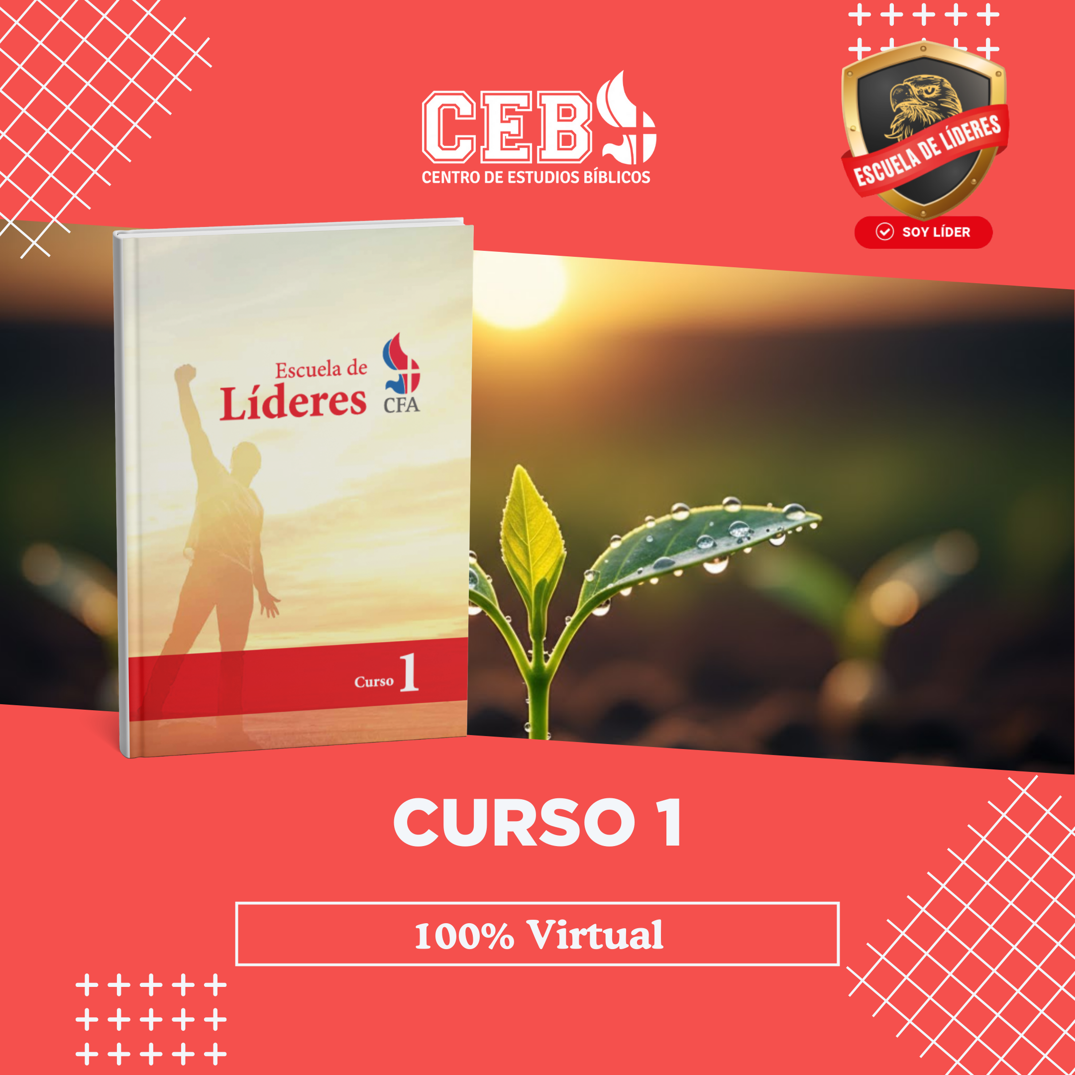 Primer Curso - 100% Virtual